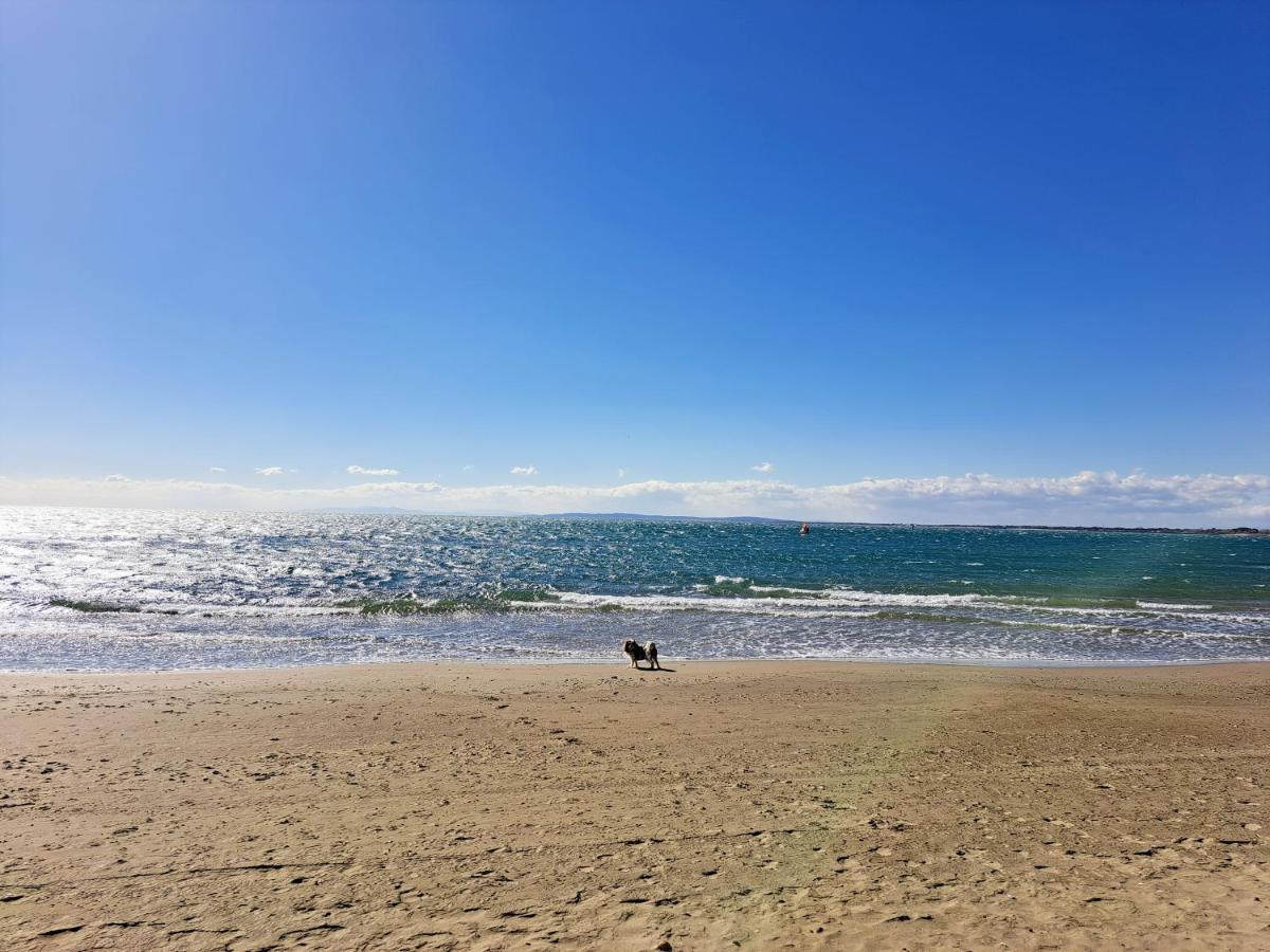 32M² Terrasse Plage Cap D'Agde Lägenhet Exteriör bild
